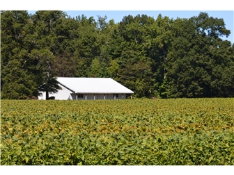 Sold lot/land Hartly, Delaware