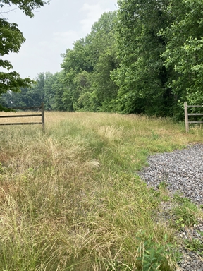 Lot/Land for sale Townsend, Delaware