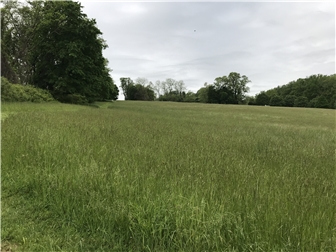 Lot/Land for sale Chadds Ford, Pennsylvania