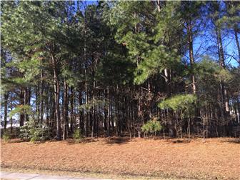 Lot/Land for sale Georgetown, Delaware