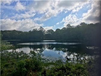 Lot/Land for sale Georgetown, Delaware