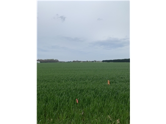Sold lot/land Lincoln, Delaware