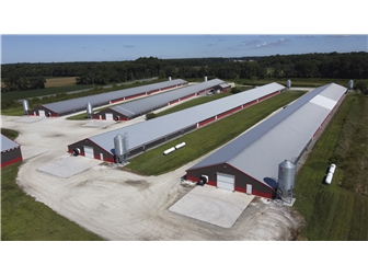 Farm for sale Millsboro, Delaware