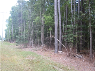Main Photo
