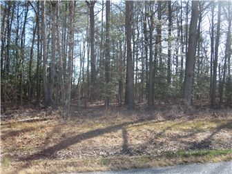 Sold lot/land Harbeson, Delaware