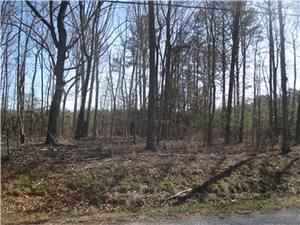 Lot/Land for sale Harbeson, Delaware
